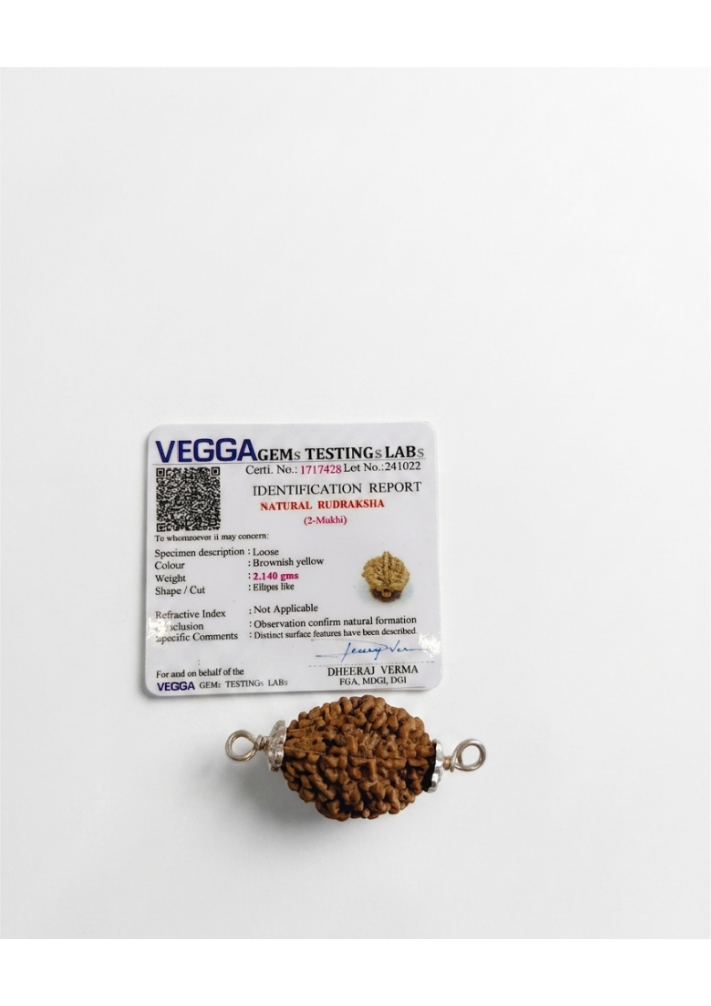 Certified 2-Mukhi Rudraksha Silver Capped Pendant - Relationships