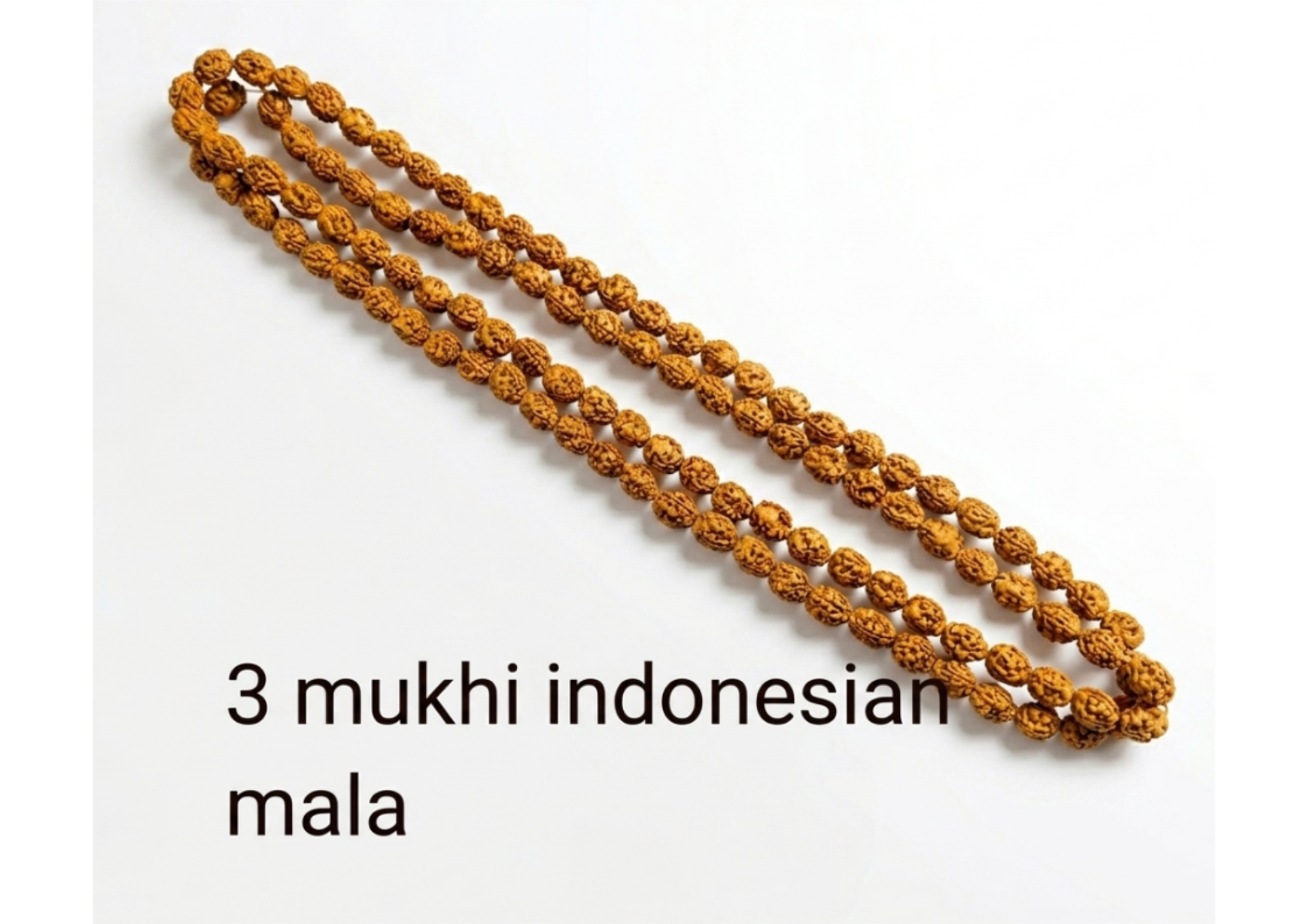 Certified 3-Face (Teen Mukhi) Indonesian Rudraksha Mala - Agni/Fire