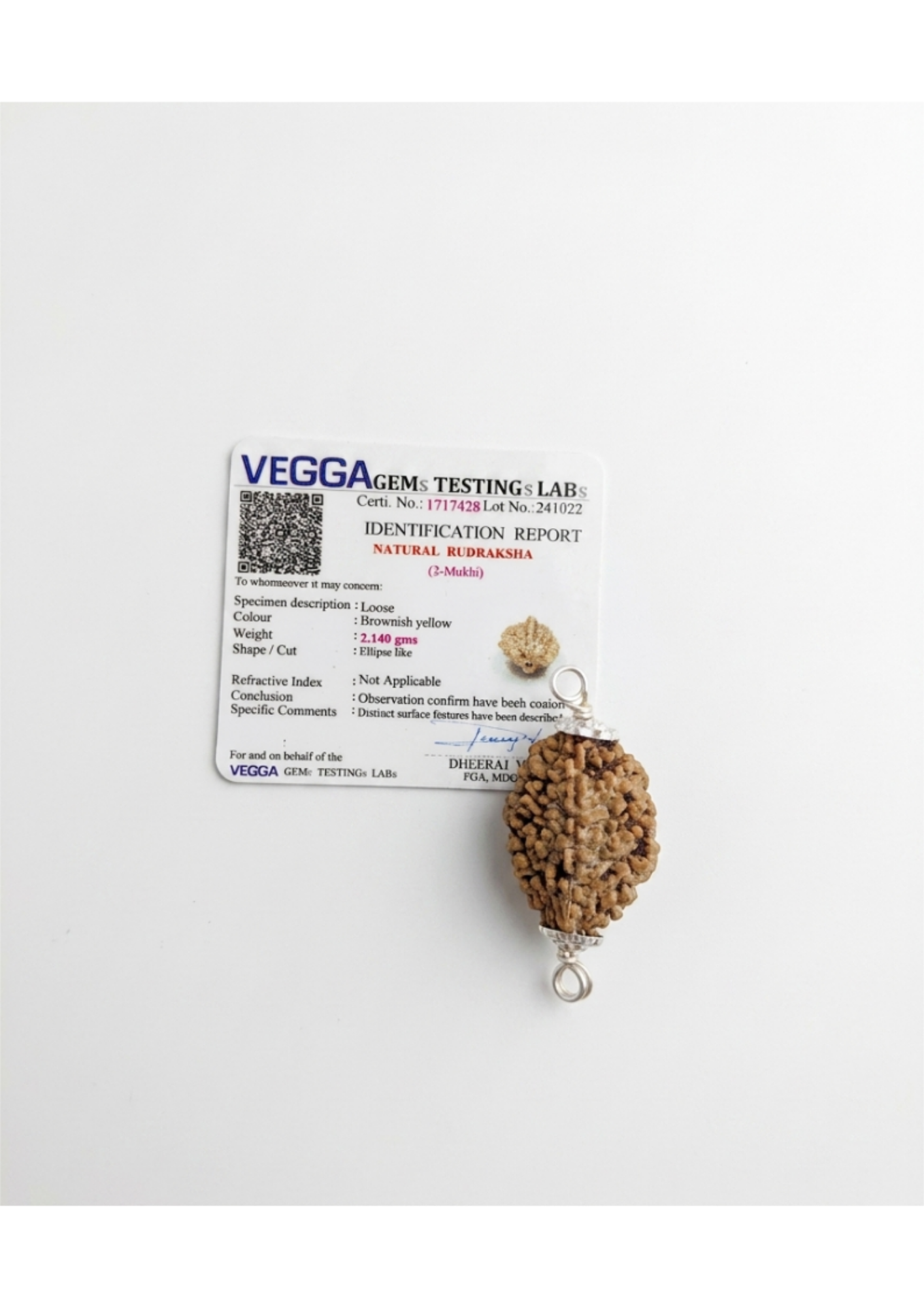 Certified 3-Mukhi Rudraksha Silver Capped Pendant - Agni Power