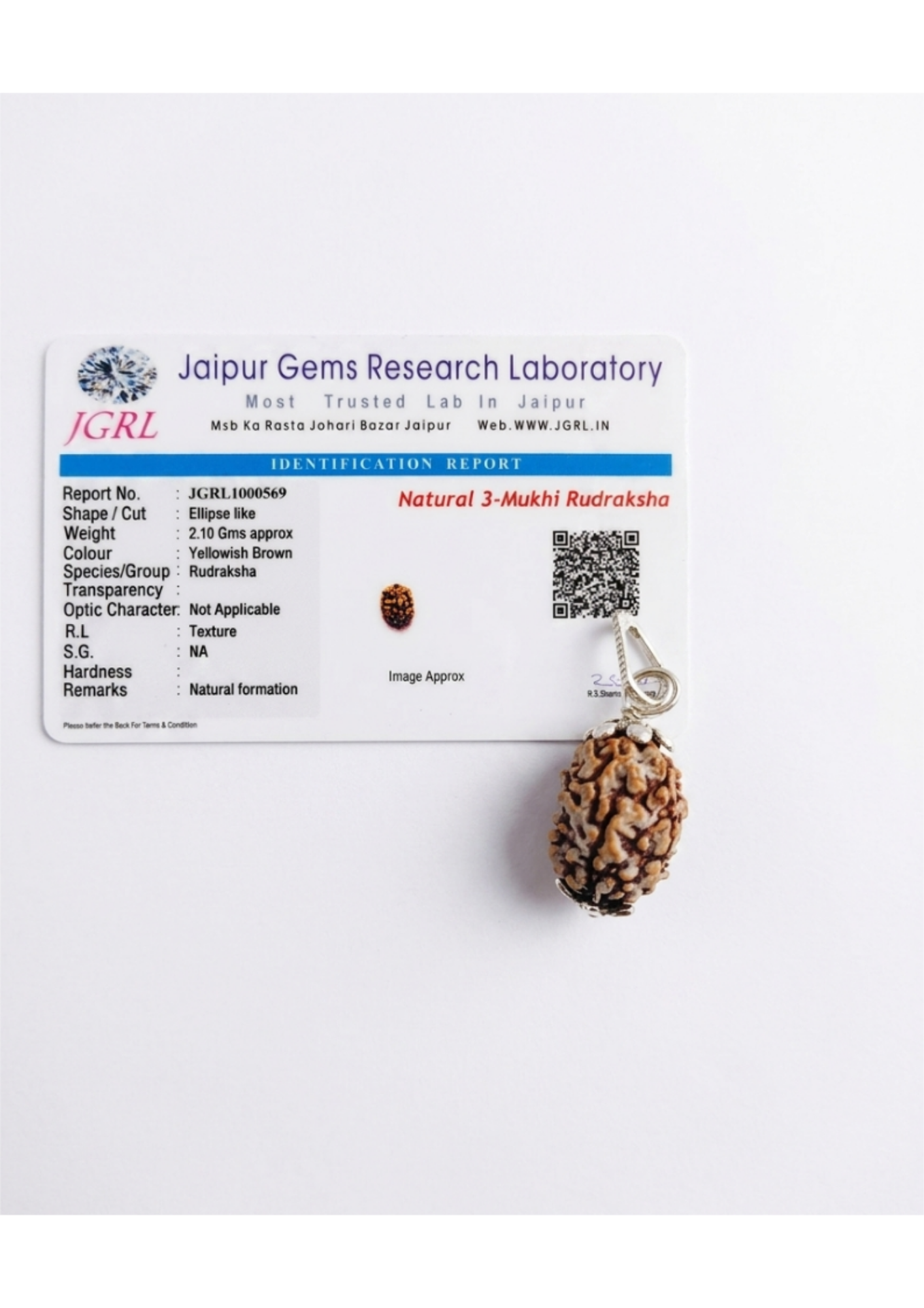 Certified 3-Mukhi Rudraksha with Silver Loop - Health & Vitality