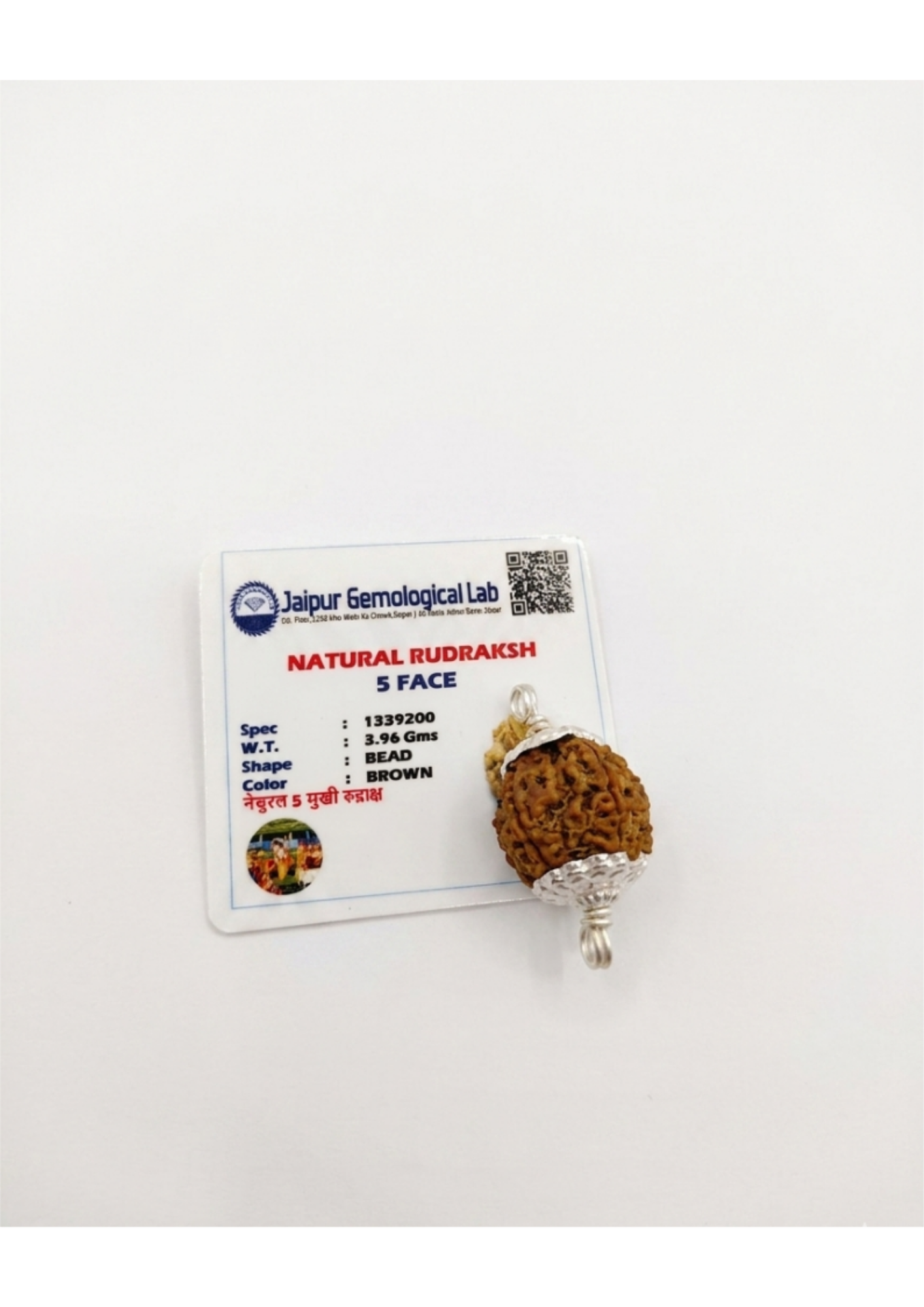 Certified 5-Mukhi Rudraksha Silver Capped Pendant - Health