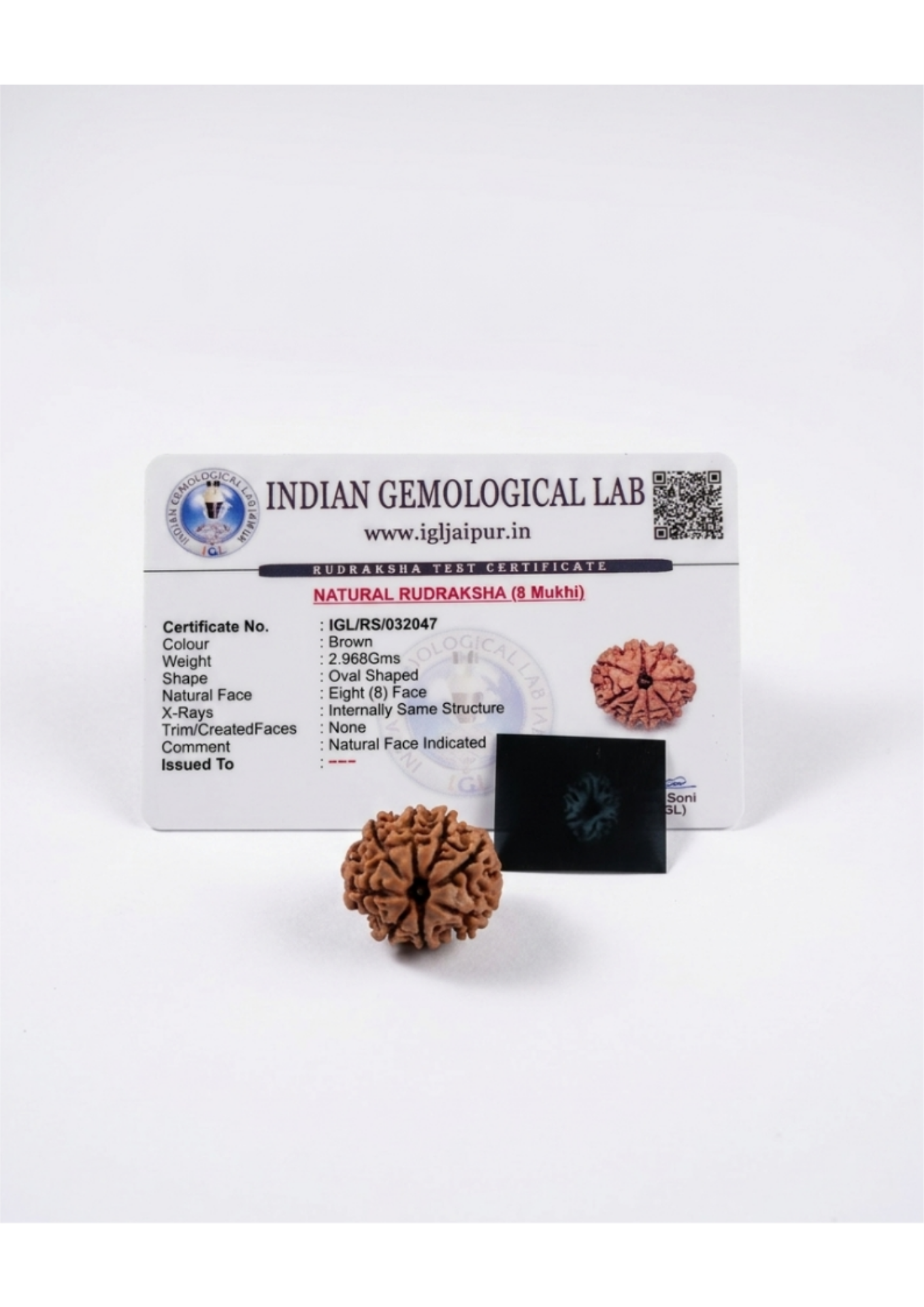 Certified 8-Mukhi (Aath Mukhi) Rudraksha - Ganesha/Success