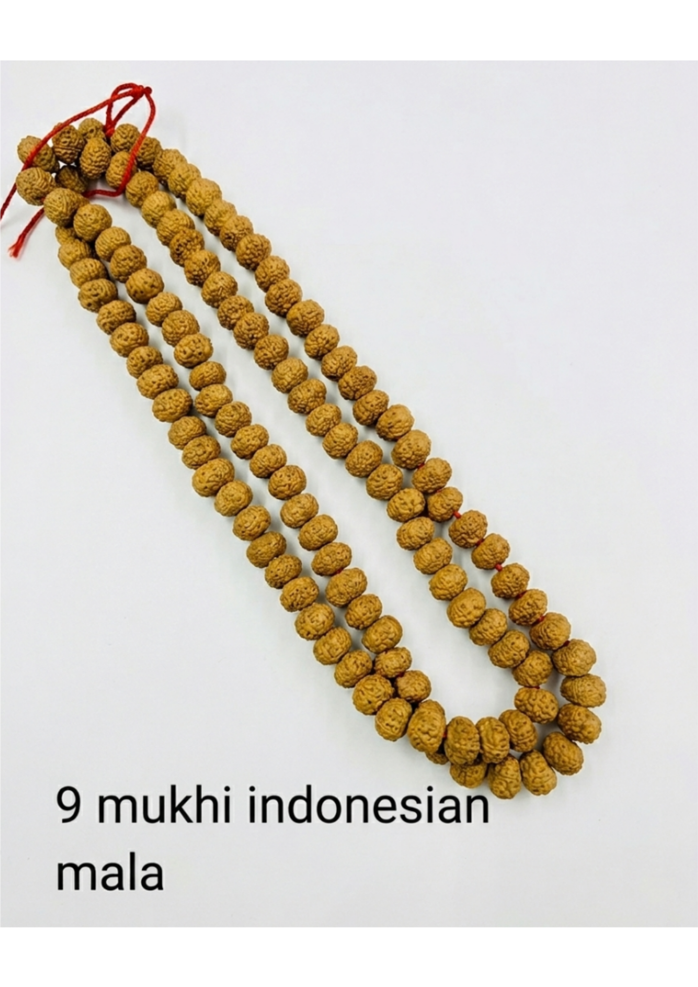 Certified 9-Face (Nau Mukhi) Indonesian Rudraksha Mala - Power/Durga