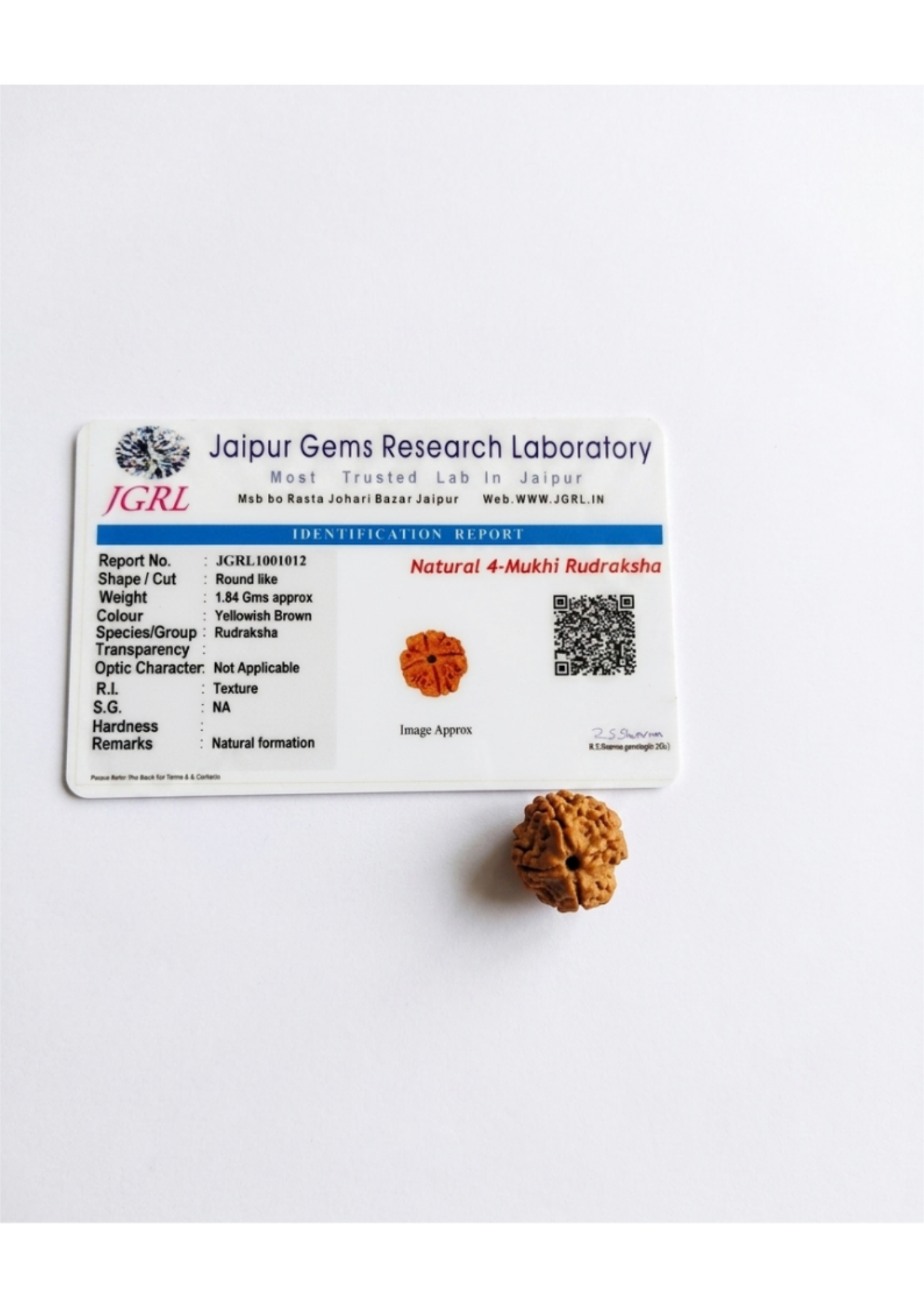 Lab Certified 4-Mukhi (Chaar Mukhi) Loose Rudraksha Bead